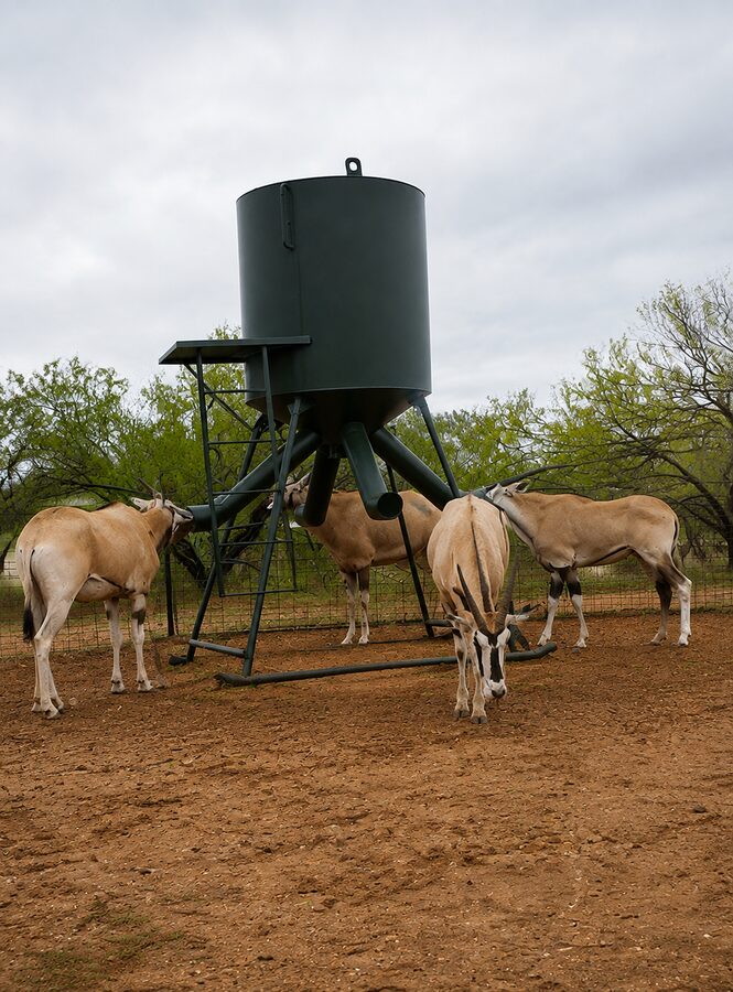 Four pale tan antelope with long horns stand feeding at a dark green gravity-fed protein feeder in a fenced dirt pen. The hopper sits on a multi-leg frame with feed tubes angling down from it, and green brush and an overcast sky fill the background.